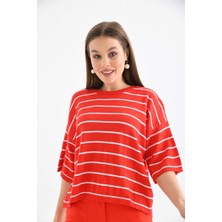 Parkkaron Bisiklet Yaka Çizgili Mevsimlik Kısa Triko Kazak