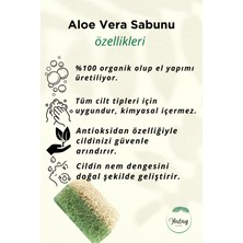 Antilop Kabak Lifli Aloe Vera Sabunu, Doğal Nemlendirici ve Peeling Özellikli