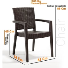 Holiday Standart Troya Rattan Koltuk Kahverengi | 2'li Set Kahverengi Modern Modern Plastik