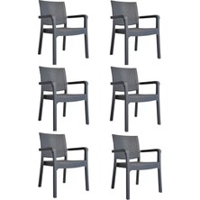 Nar Sokağı Modern 6 Adet Karizma Rattan Kollu Sandalye Koltuk 6'lı Set Gri Modern Plastik Standart