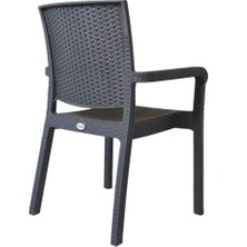 Nar Sokağı Modern 6 Adet Karizma Rattan Kollu Sandalye Koltuk 6'lı Set Gri Modern Plastik Standart