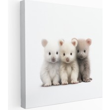 Painted Anarchy Bebek Hayvanlar Minimalist Kanvas Tablo, 30X30 cm