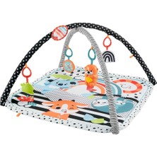 HBP41 Fisher-Price® Neşeli Hayvanlar 3ü1 Arada Jimnastik Merkezi