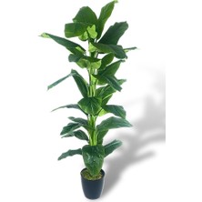 Nettenevime Yapay Ağaç Difenbahya Yeşil Salon Bitkisi Siyah Saksıda 180cm