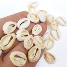 Deniz Kabuğu Tazı Boncuğu