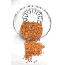Parlak Turuncu Kum Boncuk 2 mm 50 gr