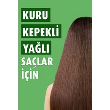 Wash & Go Wash&go Kepek Karşıtı Şampuan 360 ml X2 Adet