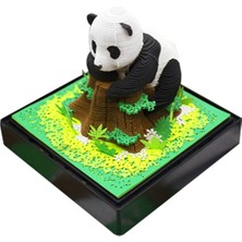 Fiona 3D Panda Takvim 2024 Kağıt Oyma Sanatı Işık ile Zaman Parça Takvimi 2024 Dıy Hediyeler Için Masaüstü Dekorasyon (Yurt Dışından)