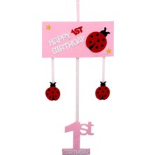 Parti Adresi Keçe 1 Yaş Süsü