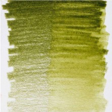 Bruynzeel Dessin Aquarell Sulu Boya Kalemi Olive Green