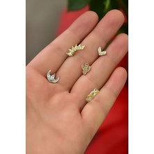 Papatya Silver Çelik Üç Renk 5'li Kombinli Tragus Küpe MODEL19-2