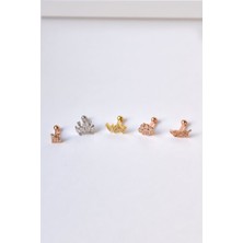 Papatya Silver Çelik Gold-Rodyum Kaplama Çelik Tragus 5'li Küpe Kombin3