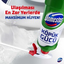 Domestos Köpük Gücü Köpük Çamaşır Suyu Çam Ferahlığı 450 ml