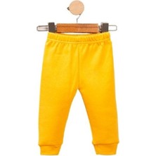 Nikuby Yeni Sezon Bear Detaylı Çıtçıtlı Bebek Alt Üst Takım
