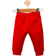 Nikuby Yeni Sezon Ayıcık Bear Baskılı Alt Üst Erkrk Bebek Takım