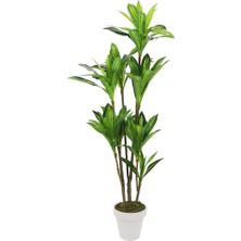 Yapay Drasena Ağacı 200 cm