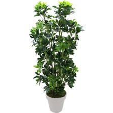 Yapay Şeflera Ağacı 150 cm
