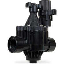 200PGA 24V Selenoid Vana 2"