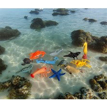 Faial 12 Parça Okyanus Hayvan Seti Büyük Boy