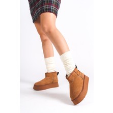 Preshley Kadın Palermo Taba Süet Içi Kürklü Kalın Tabanli (4,5 cm ) Mini Kısa Bot