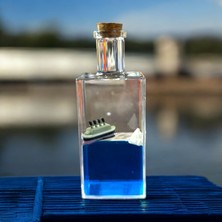 Sulu Dekoratif Şişe - 17X6 cm Hediyelik