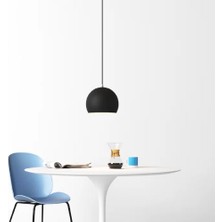 Riolight  Modern Siyah Cafeler,Oda,Mutfak,Yatak Başı Için 1xe27 Tekli Metal Sarkıt Avize Çap:20cm