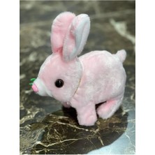 Era Newayer Elektronik Sesli Pilli Zıplayan Hareketli Havuçlu Peluş Tavşan 18X17 cm