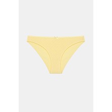 Penti Little Daisy 3lü Pointel Çok Renkli Slip Külot