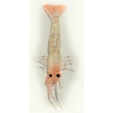 Ecotackle Melagues 7.9cm Iğnesiz Paketsiz Silikon Karides - Col:08