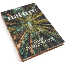 Mikasa Moor Nature Forest Kitap Kutu 35X24X3CM