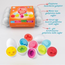 Circle Toys Geometrik Yumurta Eşleme Oyunu 15'li