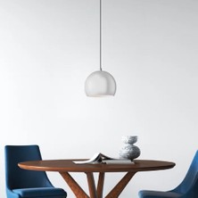 Riolight  Modern Gri Cafeler,Oda,Mutfak,Yatak Başı Için 1xe27 Tekli Metal Sarkıt Avize Çap:20cm