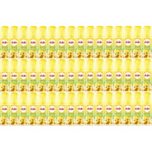 Dalin Bebek Kolonyası 150ML Orman Esintisi (Turunçgiller-Yasemin-Misk Kokulu) (48 Li Set)