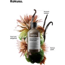 L'Oréal Professionnel Serie Expert Absolut Repair Molecular Arındırıcı Şampuan 300ml