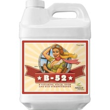 Advanced Nutrients B-52 5l