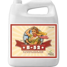 Advanced Nutrients B-52 10L