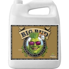 Advanced Nutrients Big Bud Coco 500ML