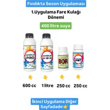 Pozitif Gübre Tüm Sezon Için Fındık Uygulama Paket Gübre Satışı Azotlu Fosforlu Potasyumlu Tüm Mikroelementler