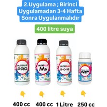 Pozitif Gübre Tüm Sezon Için Fındık Uygulama Paket Gübre Satışı Azotlu Fosforlu Potasyumlu Tüm Mikroelementler