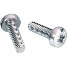 Ay-Civ Ayaz M 2.5 x 20 Ysb Vida Inox Paslanmaz 10 Adet