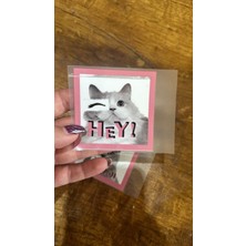 Gönülden Tasarım 3 Adet Ütü Ile Yapışan Farkı Suratlı Kedi Transfer Baskı Arma 7x7 cm