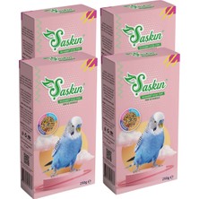 Energy Şaşkın Muhabbet Kuşu Yemi 250 G - 4 Adet