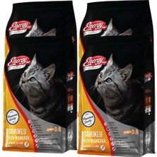 Energy Tavuklu Yetişkin Kedi Maması 1 kg - 4 Adet