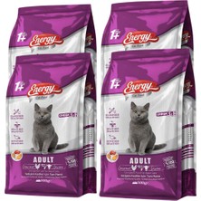 Energy Gurme Yetişkin Kedi Maması 500 G - 4 Adet