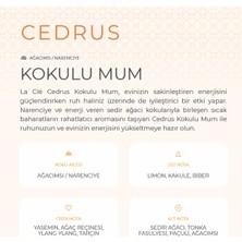 La Cle Ağacımsı/narenciye Kokulu Mum-Cedrus