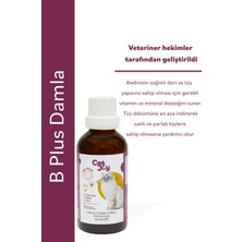 Catjoy Kediler Için Plus B Damla 50ML - Tüy Dökümünü Azaltan Tüy Sağlığını Destekleyen Damla