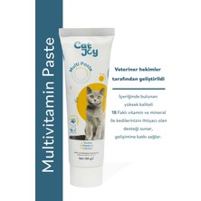 Catjoy Kedi 4 Lü Avantaj Seti Anti-Hairball Malt & Multivitamin Malt & Sterile Malt & Plus B Damla