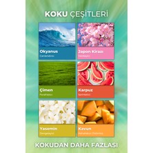 Auran Yaz Seti Esansiyel Uçucu Yağ Buhurdanlık Yağı Hava Nemlendirici Aroma Difüzörü Kokusu Esans 6x