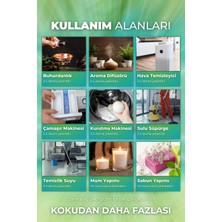 Auran Yaz Seti Esansiyel Uçucu Yağ Buhurdanlık Yağı Hava Nemlendirici Aroma Difüzörü Kokusu Esans 6x