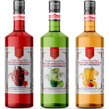 Nish Cool Lime, Berry Hibiskus, Portakal Mango Aromalı Baz Içecek 3'lü Set (3X700 Ml)-P